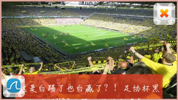 这是白踢了也白赢了？！足协杯黑龙江违规U23政策，或将判负！