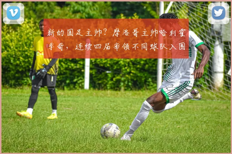 新的国足主帅？摩洛哥主帅哈利霍季奇，连续四届率领不同球队入围