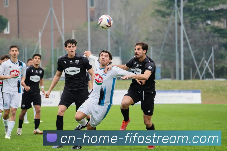 世界杯中文直播网站品牌故事