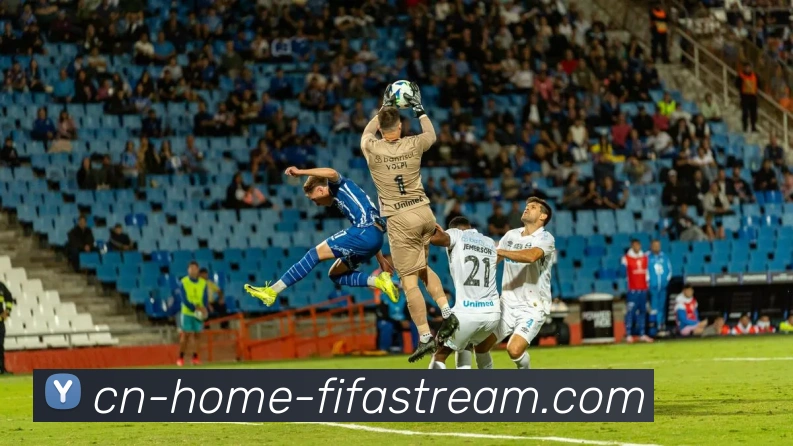 多媒体互动体验